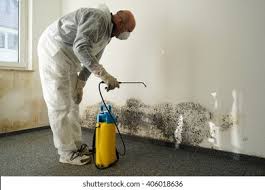  Virden, IL Mold Removal & Remediation Pros